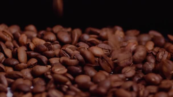 Falling Brown Roasted Coffee Beans Professional Studio Lights Black Background — 图库视频影像