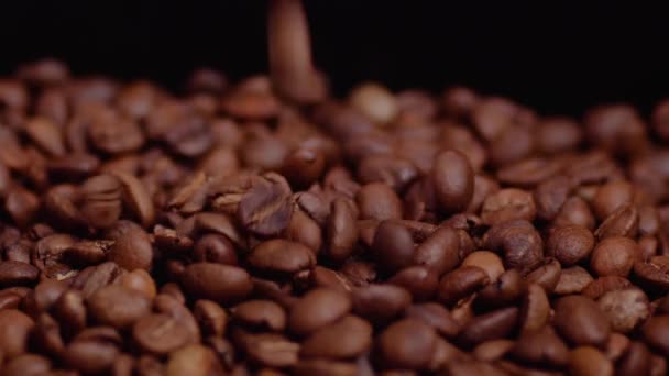 Close Shot Falling Coffee Bean Grains Slow Motion Black Background — Wideo stockowe