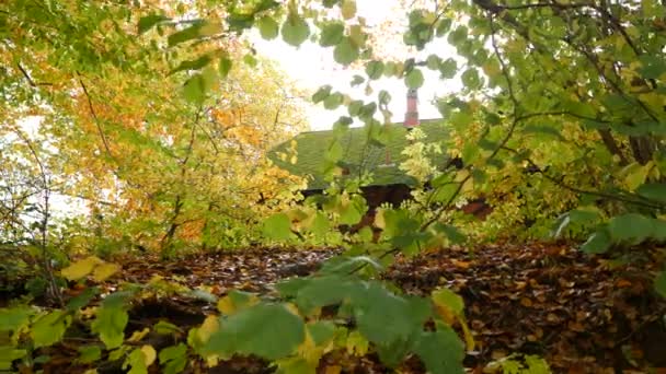 Cabin Roof Autumn Trees — Stock Video