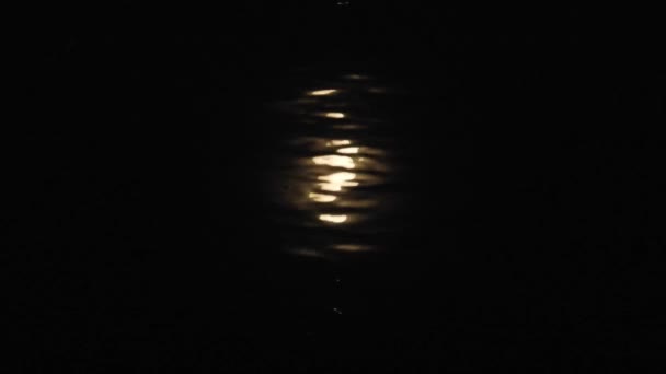 Moon Reflecting Lake Waves — Stok Video