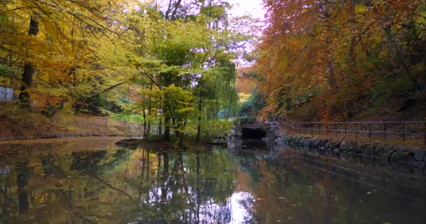 Lake Autumn Forest Park — Video Stock