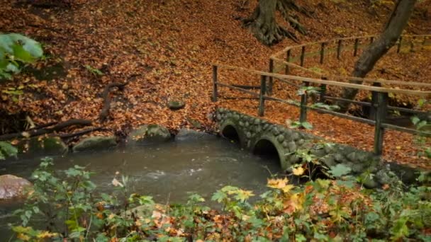 Brücke Herbst Waldpark — Stockvideo