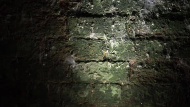 Grunge Creepy Old Green Wall Cellar Zoom Shot — 图库视频影像