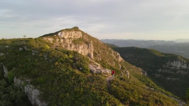 Aerial View Man Standing Edge Mountain Admiring Landscape — Video