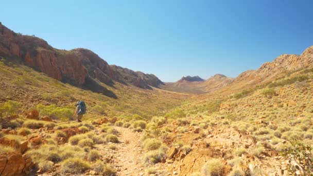 Hiker Walks Desert Valley Mountain Ridges Australia — Stok video