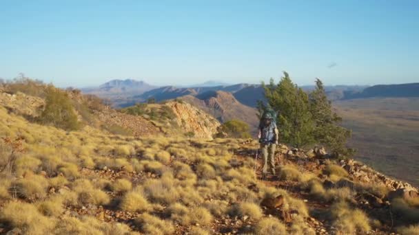 Πεζοπόρος Περπατά Μέσα Από Spinifex Στο Βουνό Κορυφογραμμή Κεντρική Αυστραλία — Αρχείο Βίντεο
