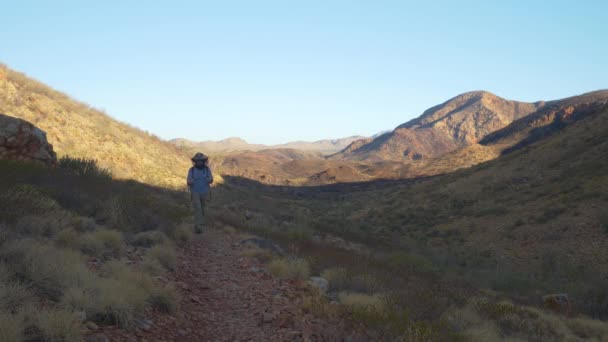 Hiker Walks Camera Arid Mountainous Landscape Central Australia — ストック動画