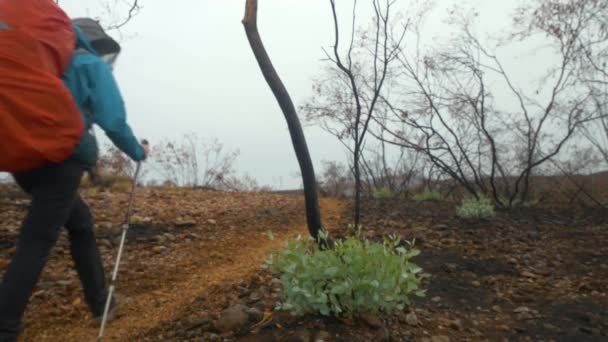 Hiker Walks New Growth Fire Damaged Area Central Australia — 图库视频影像