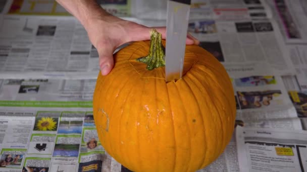 Pumpkin Carving Top Jack Lantern Big Knife Ripe Vivid Orange — Stok video