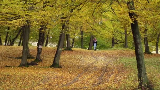 Girl Walking Trail Carpete Autumnal Fallen Leaves Hoia Forest Cluj — Vídeo de Stock