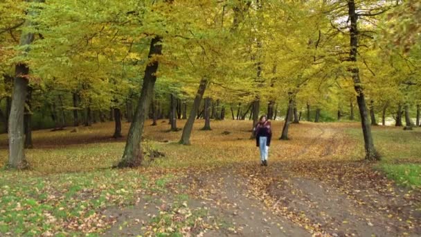 Девушка Гуляющая Лесу Хойя Осенью Клуж Напока Румыния Широкий Выстрел — стоковое видео
