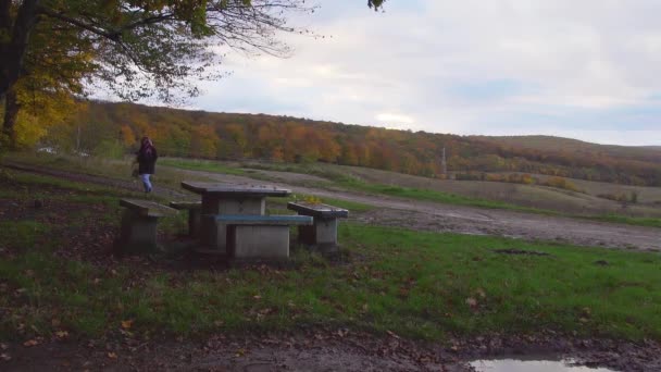 Lady Walking Alone Hill Cluj Napoca Romania Hoia Forest Autumn — Stockvideo