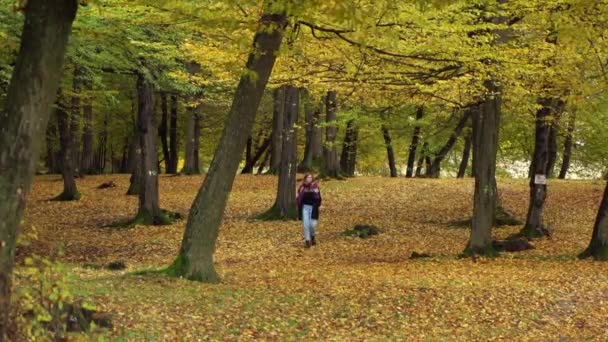 Сама Красива Жінка Йде Лісі Гойя Зимовий Осінній День Цілій — стокове відео