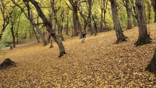 Woman Exploring Hoia Forest Beautiful Trees Autumn Season Cluj Napoca — Vídeo de Stock