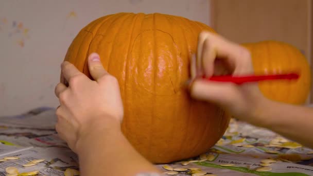 Pumpkin Carvin Female Drawing Cute Face Jack Lantern Pumpkin Pen — Stok video
