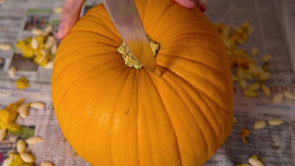 Pumpkin Carving Top Jack Lantern Big Knife Ripe Vivid Orange — Stok video