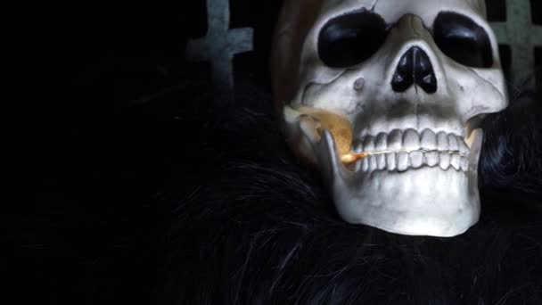 Human Skull Creepy Background Medium Shot — Stok Video