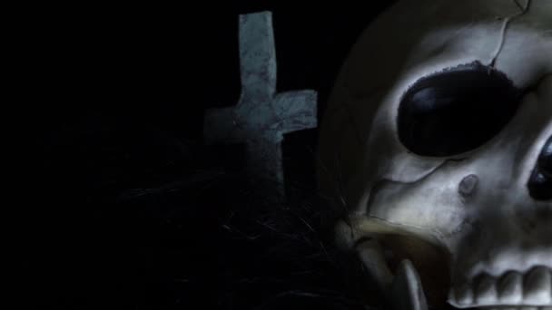Human Skull Creepy Background Close Panning Shot — Stock Video