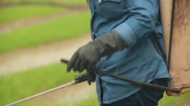 Farmer Spraying Liquid Fertilizer Rice Field — 图库视频影像