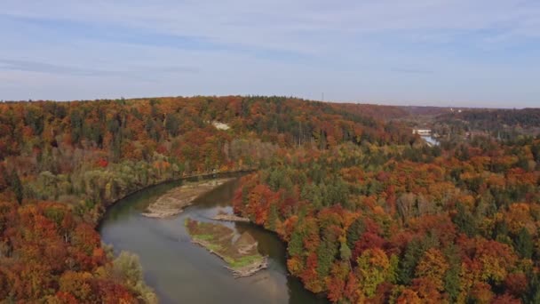 Nádherné Podzimní Barvy Dron Záběr Řeky Ostrůvky Vedoucími Barevným Lesem — Stock video