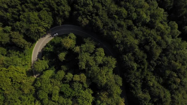 Aerial View White Car Drining Tight Curve Forest Look Shot — Stock videók