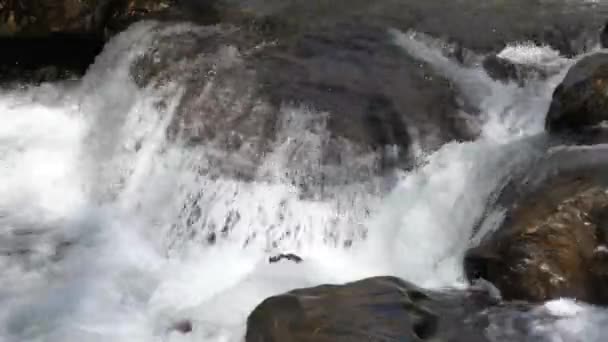 Clear Mountain Stream Flows Smooth River Rock Small Waterfall 60Fps — Stock videók