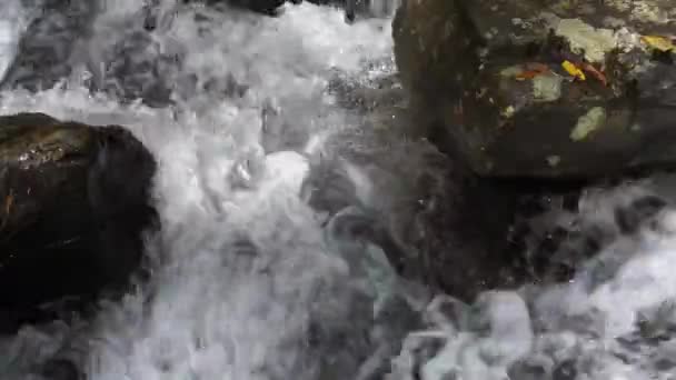 Water Churns Stones Mountain River Stream 60Fps — Stockvideo