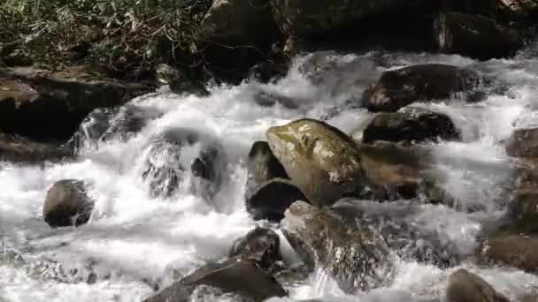 Pure Mountain Water Cascades River Rocks 60Fps — Vídeos de Stock