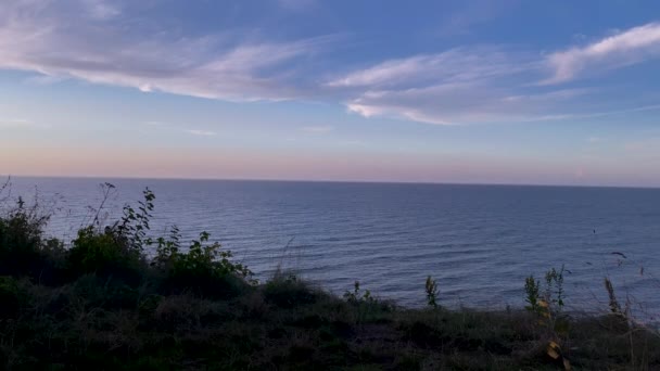Cinematic Colorful Wide Shot Baltic Sea Blue Hour Plant Silhouette — Vídeo de Stock