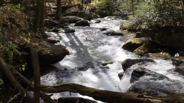 Sparkling River Water Streams Downhill Anna Ruby Falls 60Fps — Vídeos de Stock