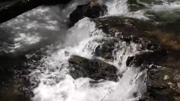 Water Rushes Rocks Clear Mountain Stream 60Fps — Stockvideo