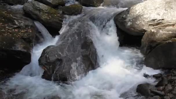 Creek Water Cascades River Rocks 60Fps — Stockvideo