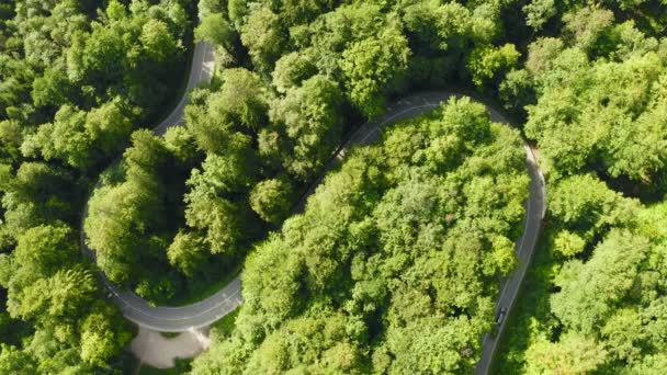 Timelapse Cars Driving Double Curve Summertime Forest Fast Dynamic Video — Stockvideo