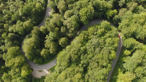 Red Car Driving Double Curve Filmed Drone Top Shot Green — Stockvideo
