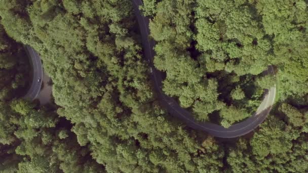 Car Boat Its Trailer Driving Curvy Road Deep Green Woodland — Video Stock