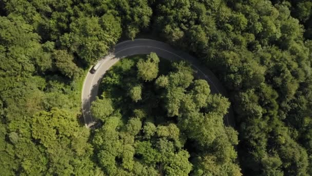 Transporter Car Driving Tight Serpentine Curve Green Forest Drone Shot — Stockvideo