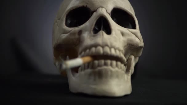 Human Skull Cigarette Dark Background Medium Panning Shot — Stockvideo