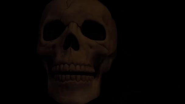 Human Skull Dark Background Lightening Storm Effect — Stockvideo