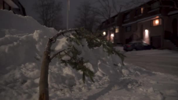 Snowbank Tree Branch Edge Road City Neighbourhood Winter — Stock video