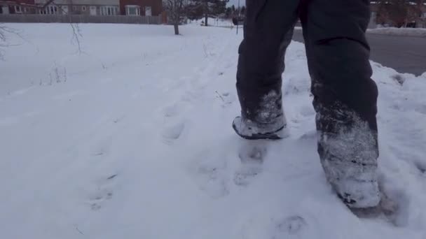 Young Child Walking Snow Roadway Residential Neighbourhood Winter Showing Lower — стоковое видео