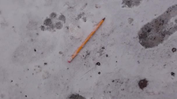 Pencil Footprints Pawprints Snow Winter — Stock Video