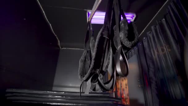 Bondage Swing Dark Room Purple Lights — Stockvideo