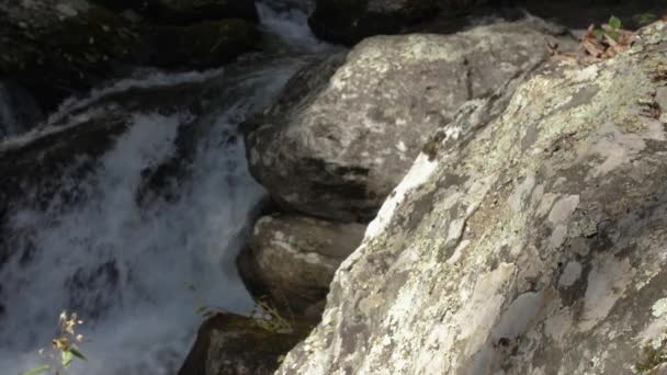 River Rock Focus Flowing Water Fall Background Slow Motion — Stockvideo