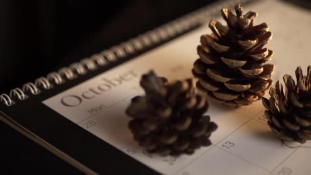 October Calendar Autumn Pine Cones Panning Shot — Wideo stockowe