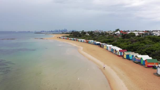 Drone Aeriel Footage Brighton Beach Colourful Beach Houses Gible Bathing — стокове відео