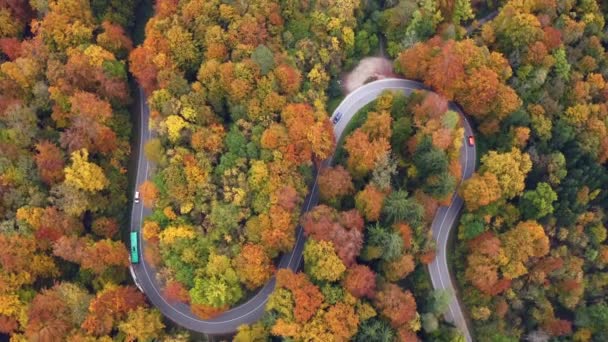 Traffic Autumn Colored Forest Cars Bus Driving Serpentine Curved Street — 图库视频影像