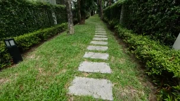 Walking Path Made Stone Brick Garden — ストック動画