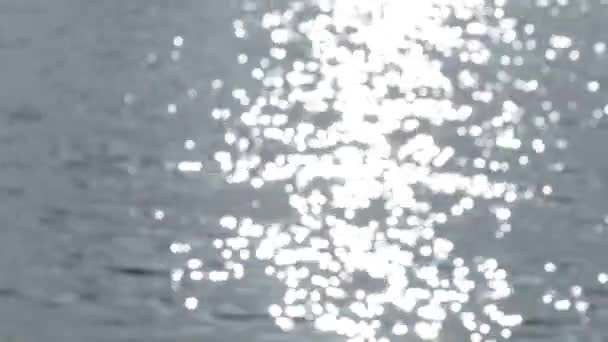 Footage Sunlight Refelection Running Water Surface — ストック動画