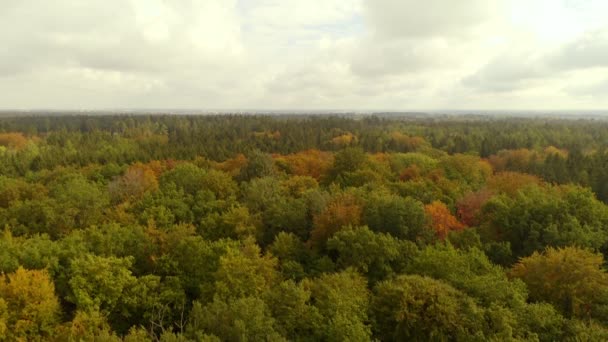 Autumn Forest Aerial Shot Flying Cloudy Day Sunshine View Munich — Αρχείο Βίντεο