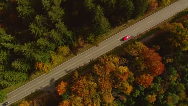 Vue Aérienne Sur Une Route Dirigée Diagonale Avec Une Voiture — Video